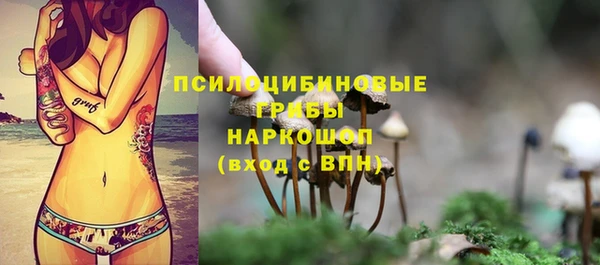 мяу мяу мука Балахна