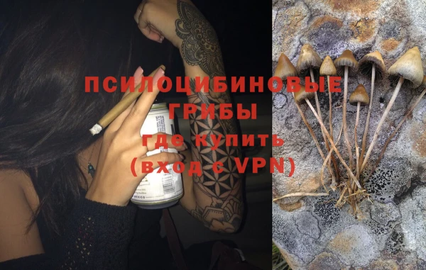 мяу мяу мука Балахна