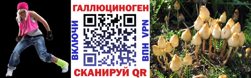 Галлюциногенные грибы Psilocybe  Ленинск 
